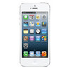 Apple iPhone 5 16Gb white - Шебекино