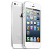 Apple iPhone 5 64Gb white - Шебекино